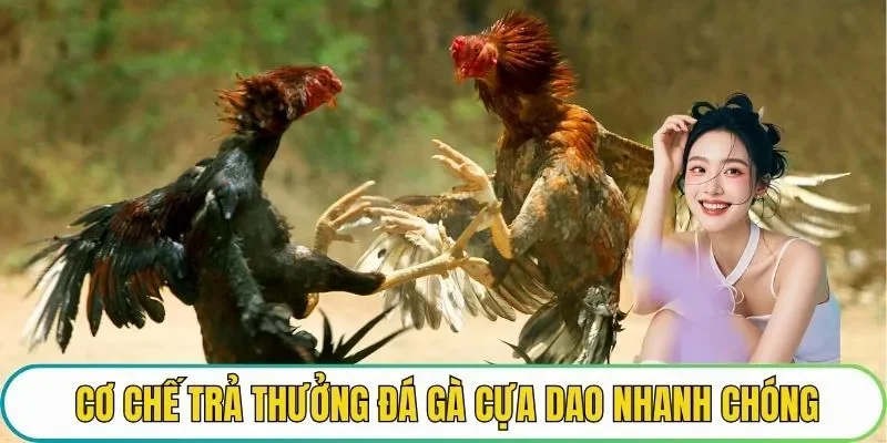 Cơ chế trả thưởng đá gà cựa dao nhanh chóng