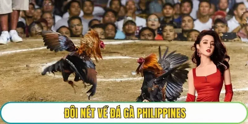 Đôi nét về đá gà Philippines